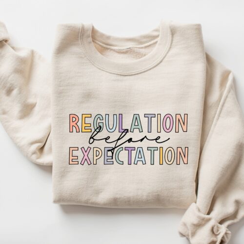 Regulation Before Expectation Sped Accessibility Teacher Sensory Occupational Therapy Shirt image 0